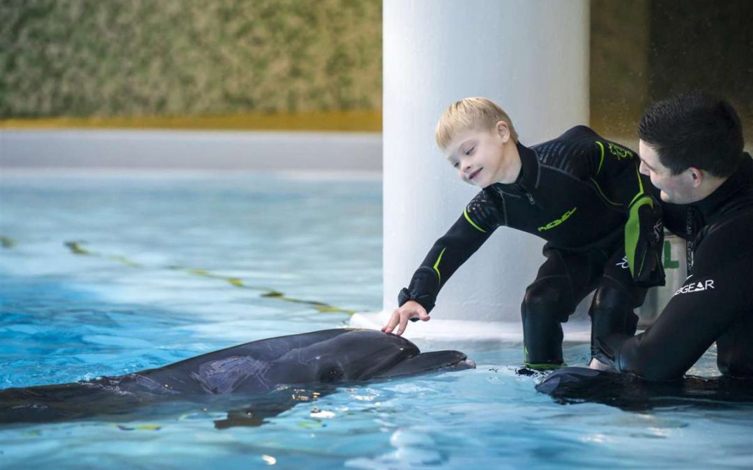 Дельфины-доктора: как животные помогают лечить детей и взрослых в Клайпеде?