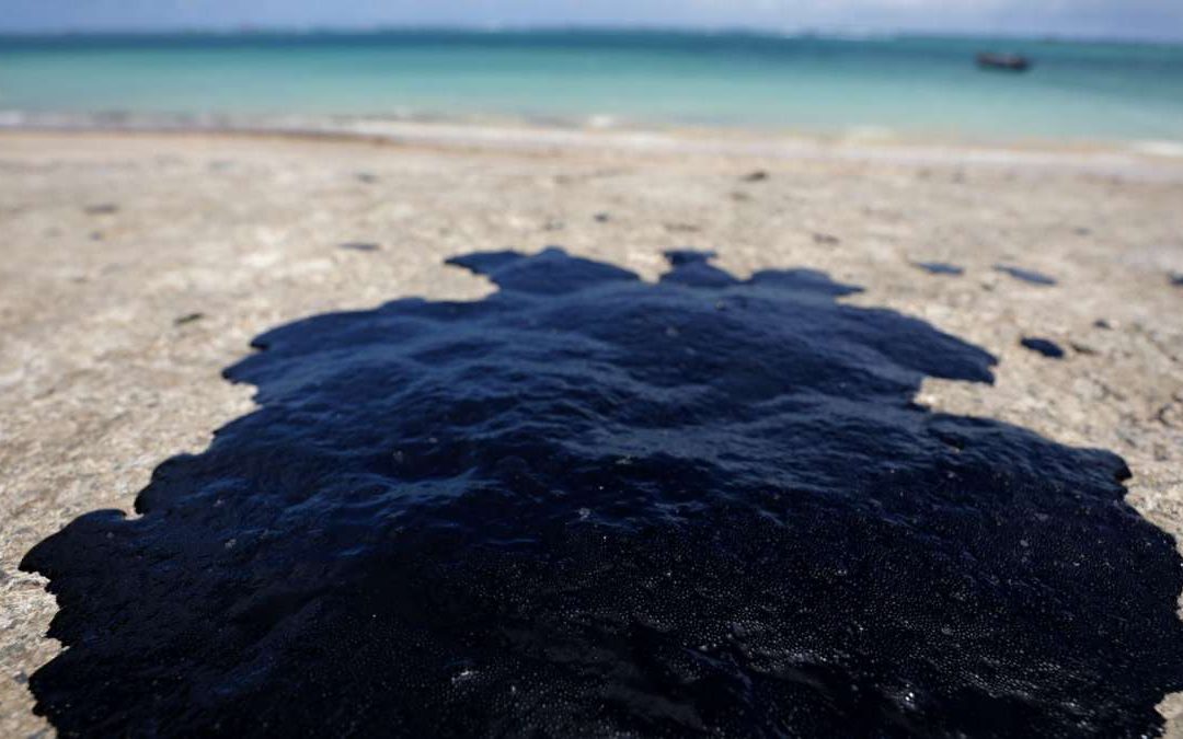 Чёрное золото для нас, и смертный приговор для моря – как нефть загрязняет Балтийское море 